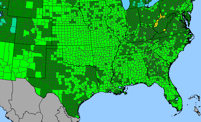The range of Amorpha fruticosa
